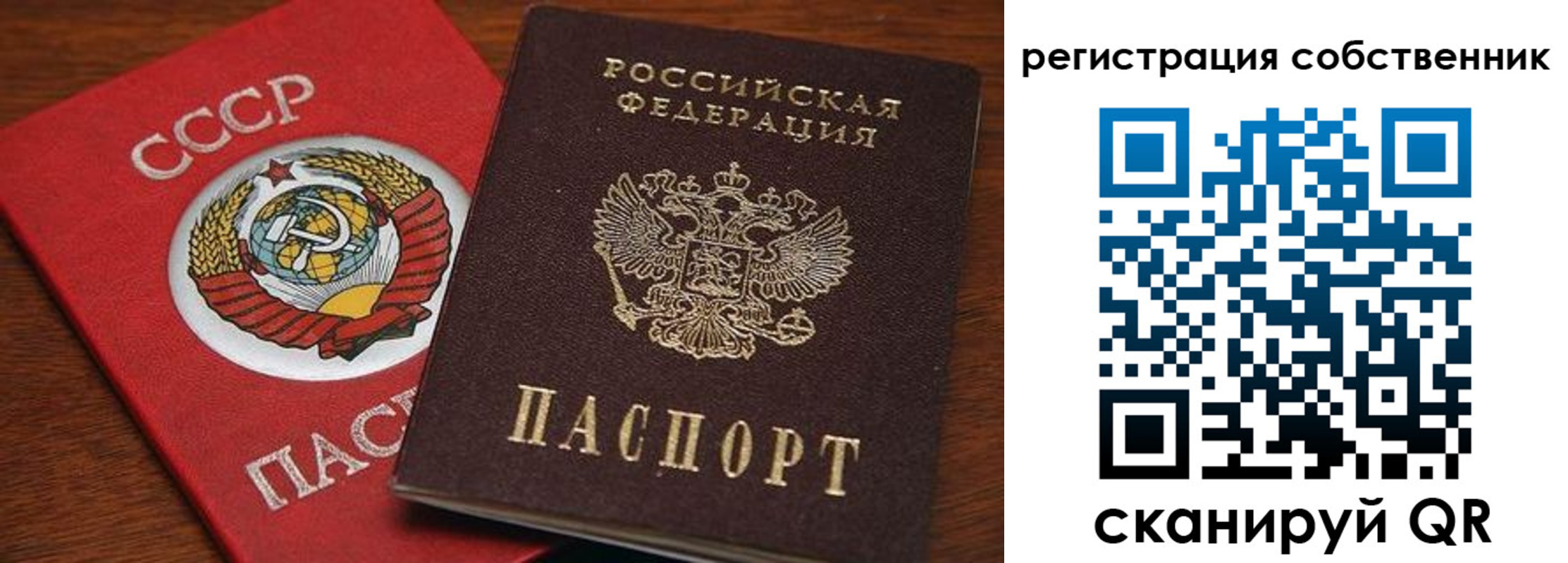 временная регистрация поиск в Александровске